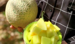 娱乐圈每年有瓜吃,盘点那些让人“瓜”意盎然的瞬间